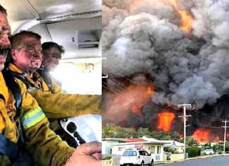 Subiu para 23 o número de mortos devido aos incêndios florestais na Austrália