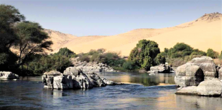 Cientistas usam água de esgoto reciclada para cultivar 500 acres de floresta no meio do deserto egípcio.