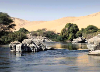 Cientistas usam água de esgoto reciclada para cultivar 500 acres de floresta no meio do deserto egípcio.