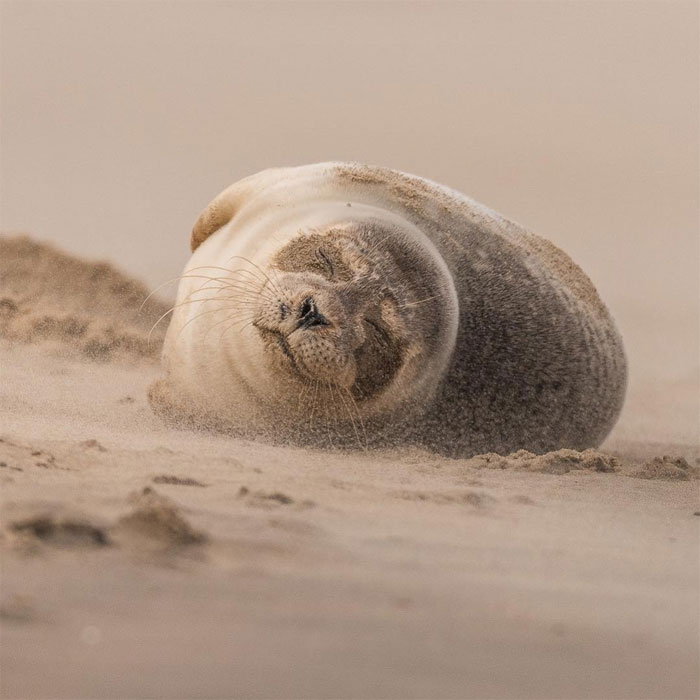 sensivel-mente.com - Fotógrafo captura momentos preciosos do que acontece na natureza quando ninguém está por perto (30 fotos)