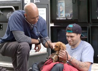 Conheça o veterinário que anda pela Califórnia e trata os animais de rua gratuitamente