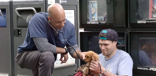 Conheça o veterinário que anda pela Califórnia e trata os animais de rua gratuitamente