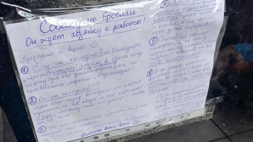 sensivel-mente.com - As pessoas pensam que este cachorro foi abandonado, mas ele espera que sua dono saia do trabalho todos os dias