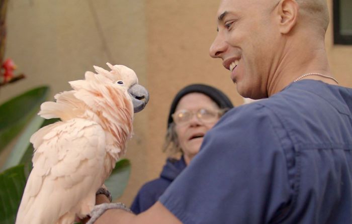 sensivel-mente.com - Conheça o veterinário que anda pela Califórnia e trata os animais de rua gratuitamente