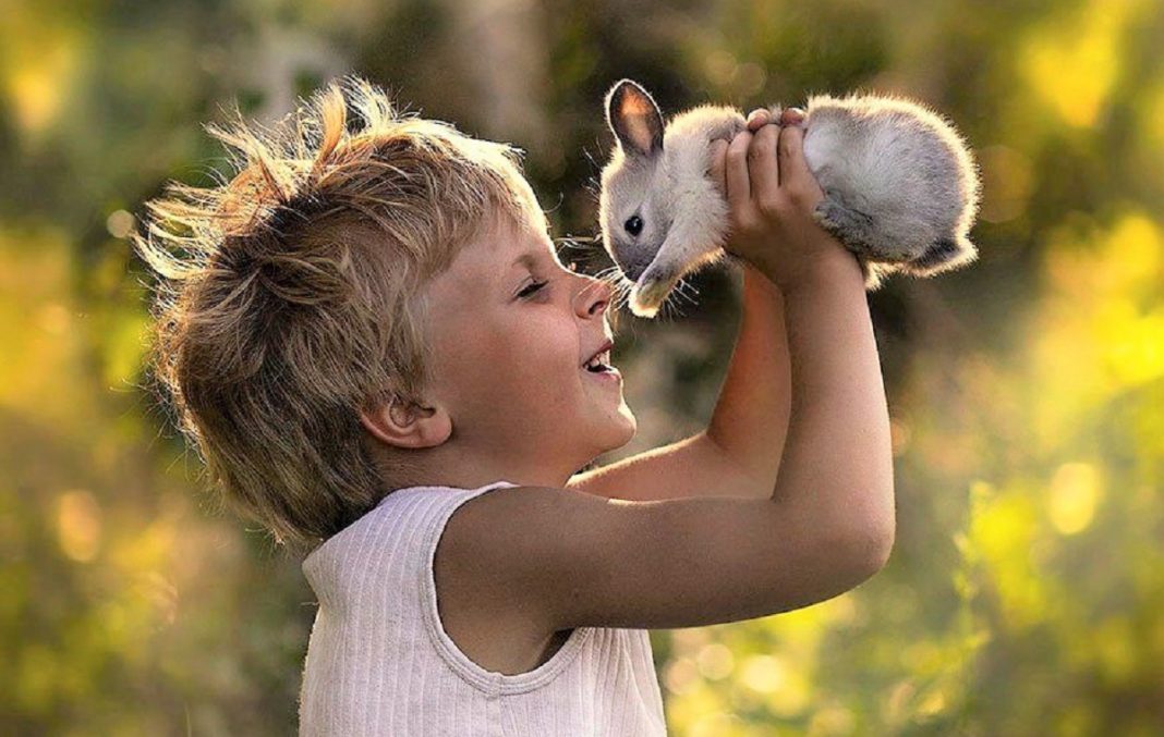 A felicidade está no saber apreciar as pequenas coisas. A felicidade está na simplicidade do dia a dia!