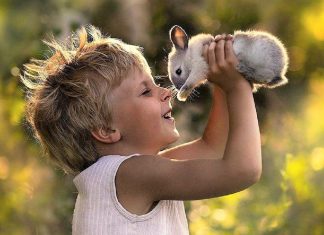 A felicidade está no saber apreciar as pequenas coisas. A felicidade está na simplicidade do dia a dia!