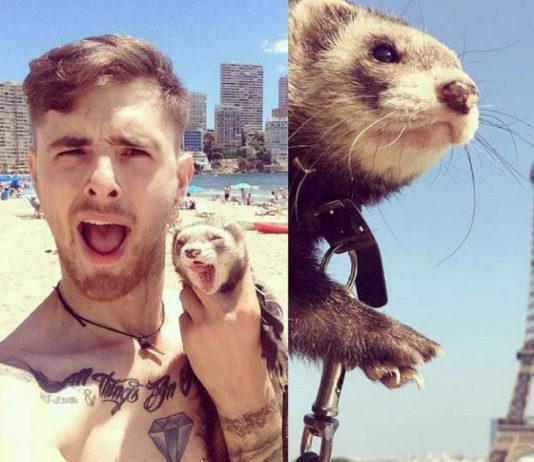 Rapaz vendeu tudo, viajou pelo mundo com furão e venceu a depressão