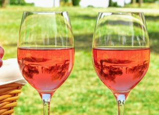 Vinícola na França busca pessoas para beber vinhos com cachê de US$ 10 mil