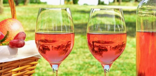 Vinícola na França busca pessoas para beber vinhos com cachê de US$ 10 mil