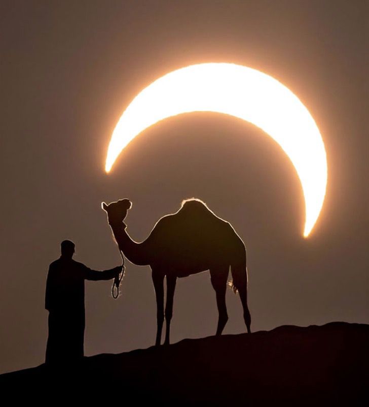 sensivel-mente.com - Fotógrafo capturou a imagem perfeita de um homem e um camelo sob um eclipse lunar.