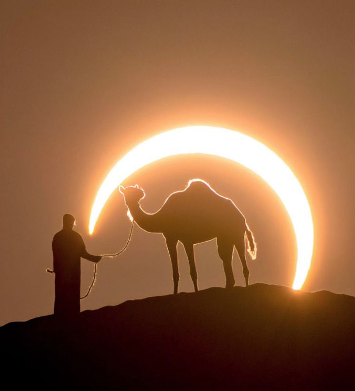 sensivel-mente.com - Fotógrafo capturou a imagem perfeita de um homem e um camelo sob um eclipse lunar.