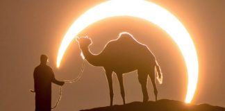 Fotógrafo capturou a imagem perfeita de um homem e um camelo sob um eclipse lunar.