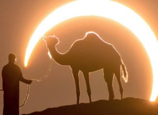 Fotógrafo capturou a imagem perfeita de um homem e um camelo sob um eclipse lunar.