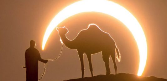 Fotógrafo capturou a imagem perfeita de um homem e um camelo sob um eclipse lunar.