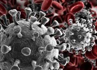 ARTIGO: Conheça o Coronavírus e o quanto ele dura – Por Luiz Augusto Vassoler ARTIGO: Conheça o Coronavírus e o quanto ele dura – Por Luiz Augusto Vassoler