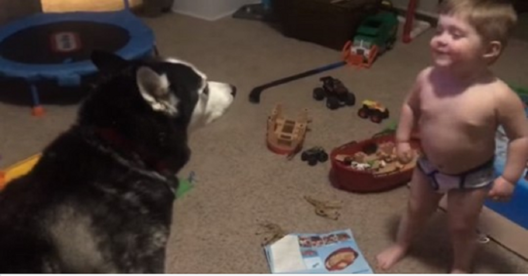 Em vídeo muito fofo, garotinho de 2 anos uiva com seu cão tentando conversar com ele