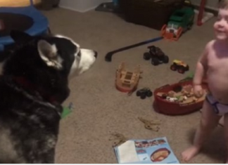 Em vídeo muito fofo, garotinho de 2 anos uiva com seu cão tentando conversar com ele