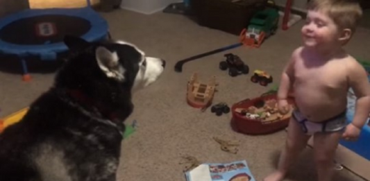Em vídeo muito fofo, garotinho de 2 anos uiva com seu cão tentando conversar com ele