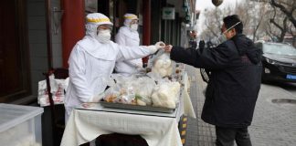 China proibiu “totalmente” o consumo e comércio de animais selvagens