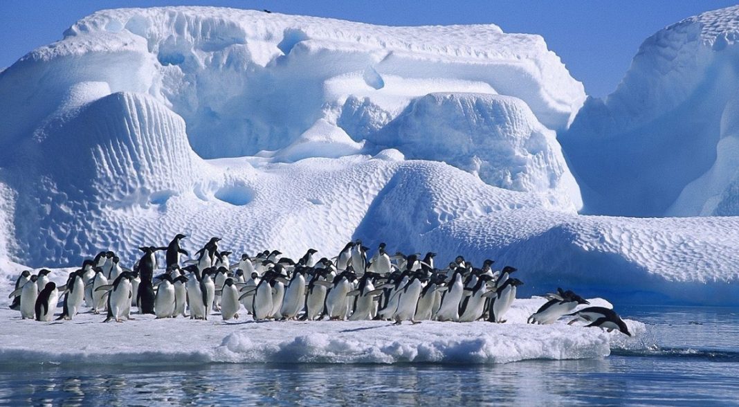 Boa Notícia, a camada de ozônio está se recuperando e freia alterações acima da Antártida
