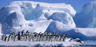 Boa Notícia, a camada de ozônio está se recuperando e freia alterações acima da Antártida