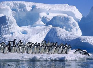 Boa Notícia, a camada de ozônio está se recuperando e freia alterações acima da Antártida Boa Notícia, a camada de ozônio está se recuperando e freia alterações acima da Antártida