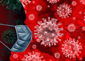 Artigo: estudo mostra como os não infectados também sofrem com o coronavírus – Roberto lent