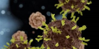 Boa notícia, SP anunciou cura de paciente internado por coronavírus