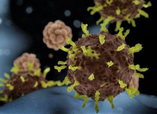 Boa notícia, SP anunciou cura de paciente internado por coronavírus