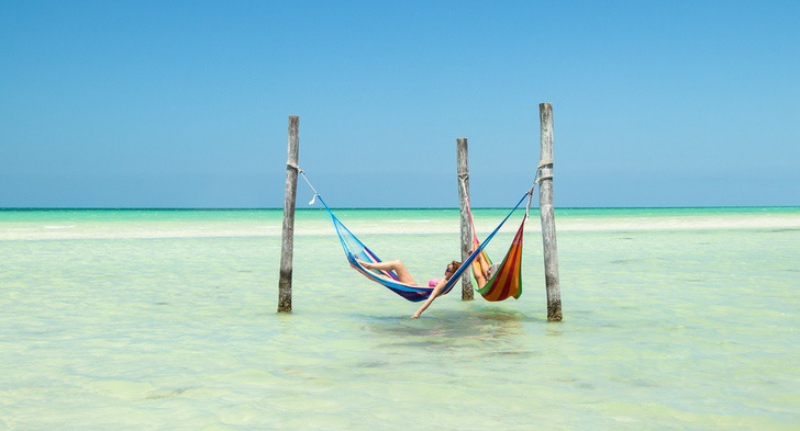 sensivel-mente.com - Golfinhos, pássaros e raias retornam à zona hoteleira de Holbox, no México. A natureza comemora a ausência do homem!