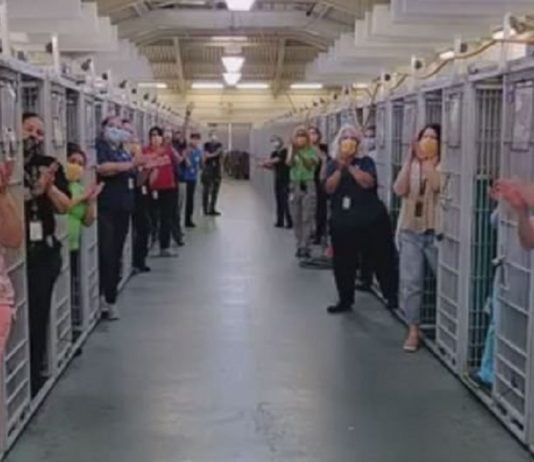 Ótima Notícia! Abrigo de cães esvaziou completamente pela 1ª vez devido à grande procura por adoção