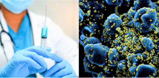 Vacina chinesa contra a Covid-19 obteve resultados seguros e produz a resposta imunológica em humanos.
