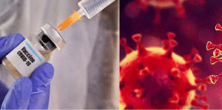 Vacina testada em humanos contra o Coronavírus gerou resposta imunológica positiva e é segura.