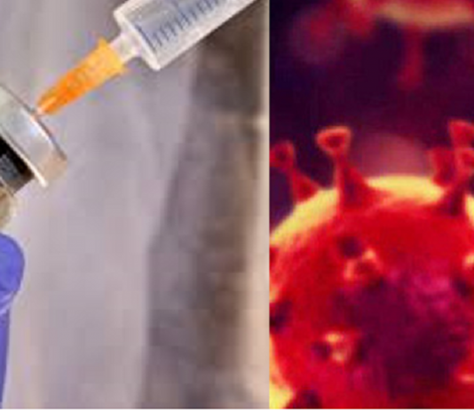 Vacina testada em humanos contra o Coronavírus gerou resposta imunológica positiva e é segura.