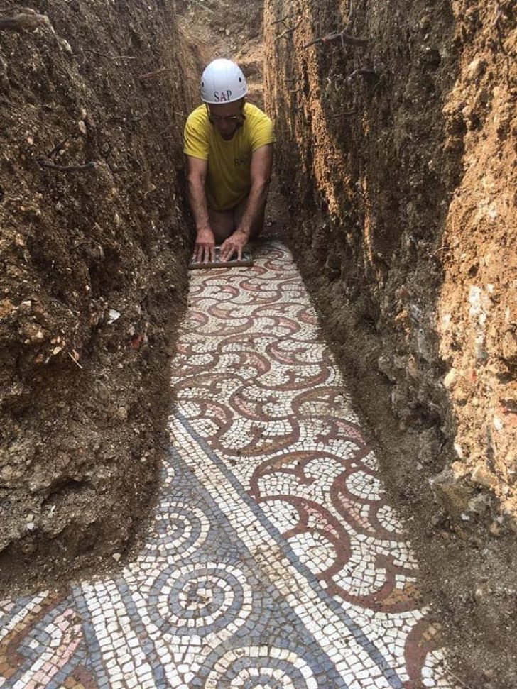 sensivel-mente.com - Arqueólogos descobrem mosaicos romanos em um antigo vinhedo na Itália. Eles são tesouros da humanidade