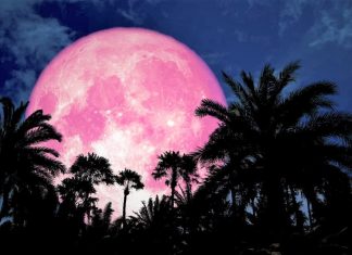 É hoje: “Lua de Morango” e o eclipse pré-lunar, um belo presente aos amantes da lua!