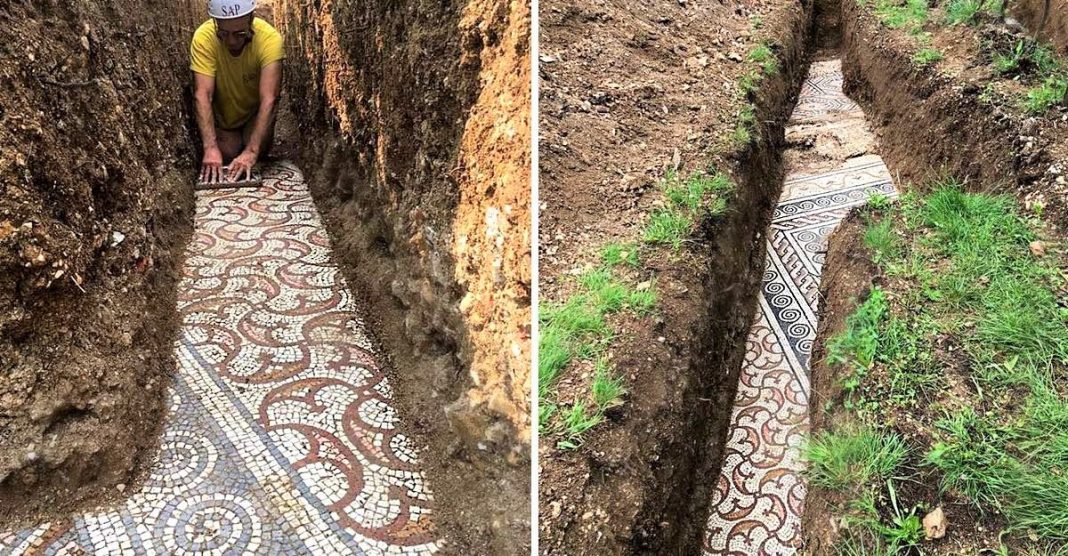 Arqueólogos descobrem mosaicos romanos em um antigo vinhedo na Itália. Eles são tesouros da humanidade