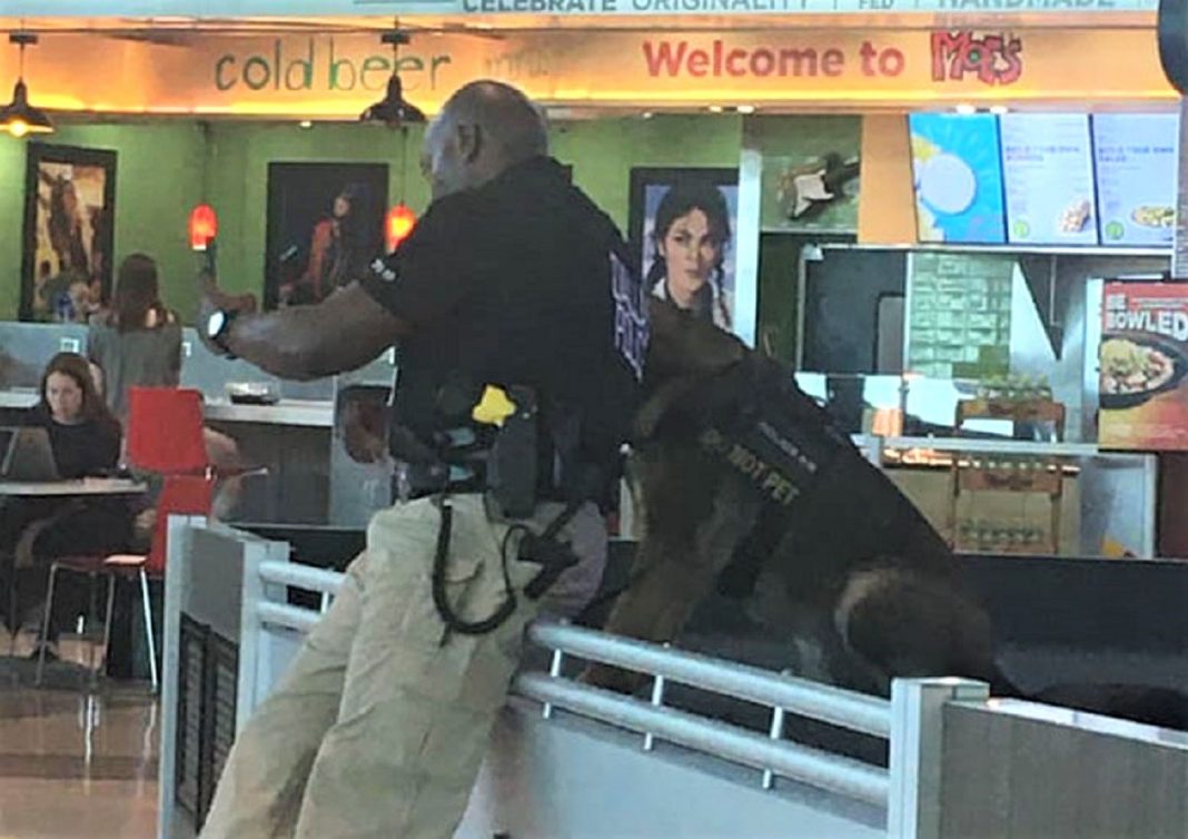 Policial tirando selfies com seu cão encanta a todos