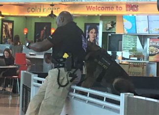Policial tirando selfies com seu cão encanta a todos