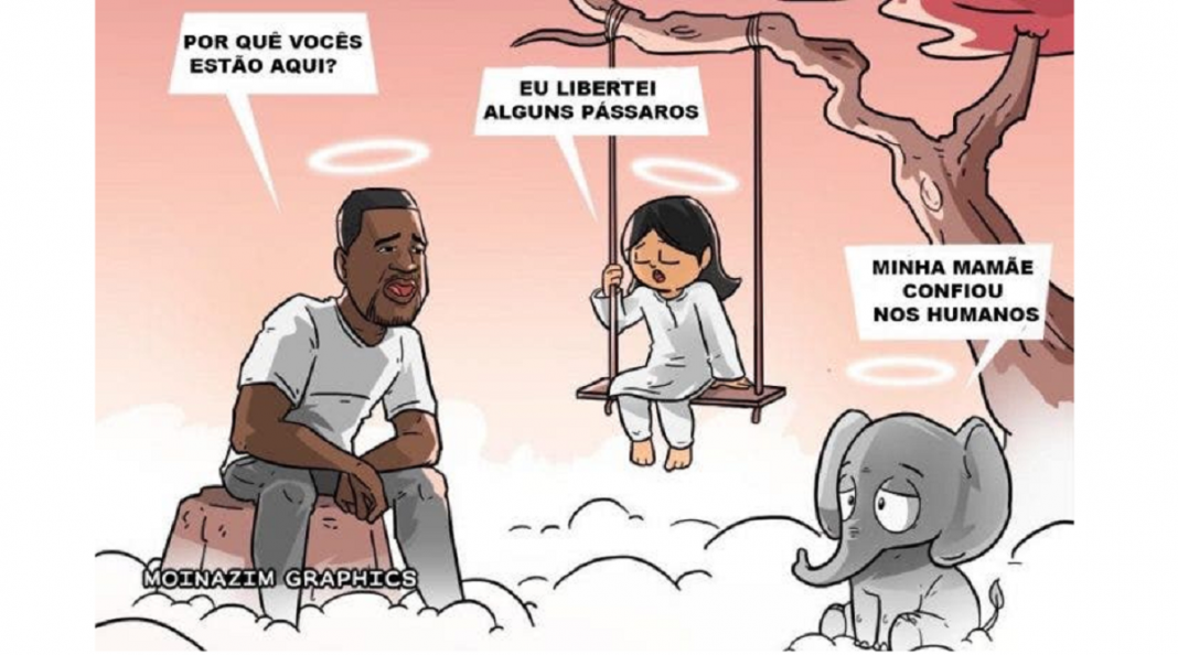 Um homem negro, uma menina de 8 anos e uma elefante grávida. 3 nações, 3 histórias, 1 culpado: a crueldade humana