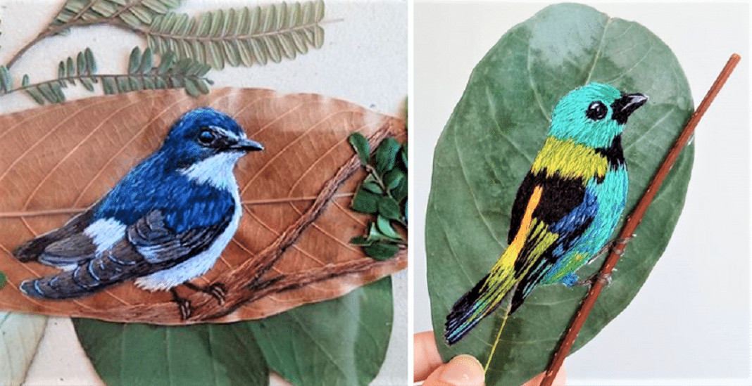 Aves brasileiras bordadas em folhas secas, aprecie esta arte!