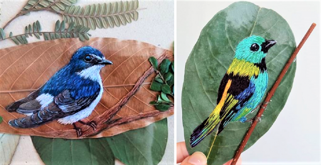 Aves brasileiras bordadas em folhas secas, aprecie esta arte!