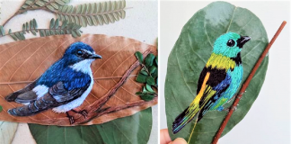 Aves brasileiras bordadas em folhas secas, aprecie esta arte!