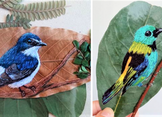 Aves brasileiras bordadas em folhas secas, aprecie esta arte!