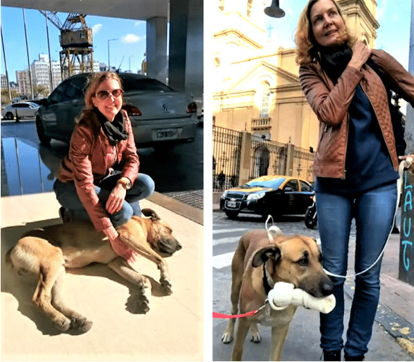 sensivel-mente.com - Aeromo&ccedil;a adota c&atilde;ozinho que sempre a esperava na porta do hotel