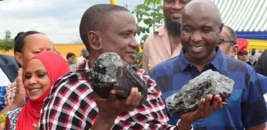 Garimpeiro, pai de 30 filhos, acha duas pedras preciosas e fica milionário.