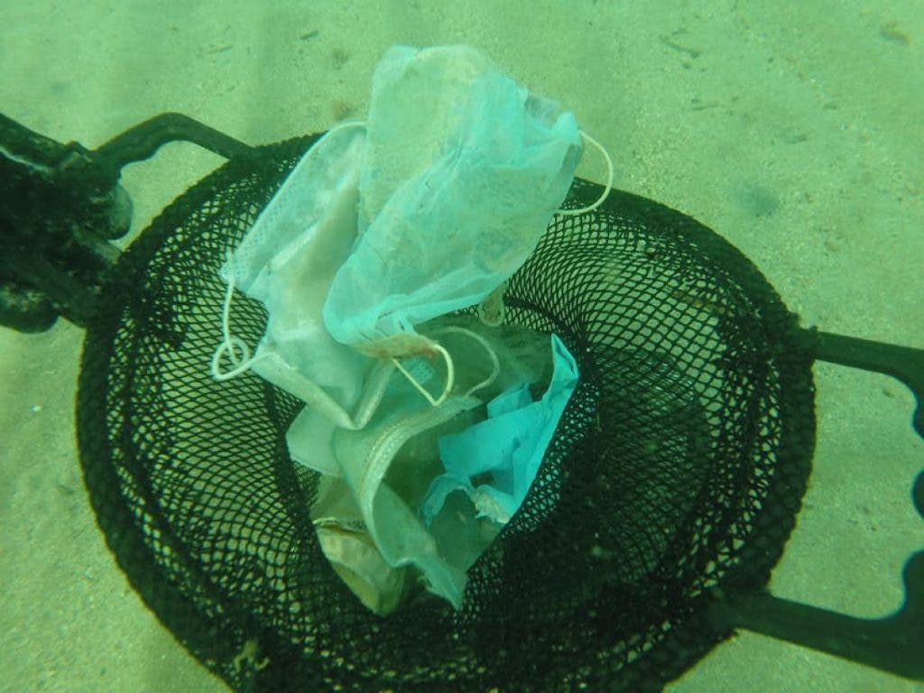 sensivel-mente.com - Brevemente no Mediterrâneo terá  mais máscaras e luvas do que águas-vivas: tristes imagens do fundo do mar da Riviera Francesa.