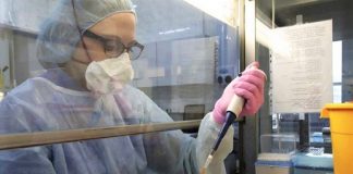 Governo do Paraná negocia com a Rússia produção da vacina contra covid-19