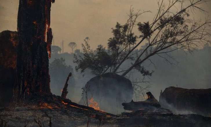 A Amazônia teve seu pior junho em 13 anos devido a incêndios florestais. A ameaça se torna realidade