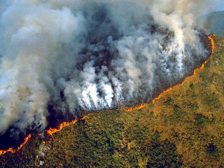 A Amazônia teve seu pior junho em 13 anos devido a incêndios florestais. A ameaça se torna realidade